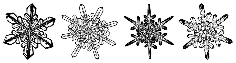 Set of detailed snowflakes winter ice crystals hand drawn vector illustration in black and white