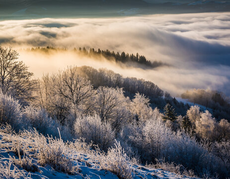 Frosty valley landscape with morning mist and soft winter sunlight