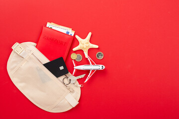 Traveler organizer bag with passport and accessories on color background, top view