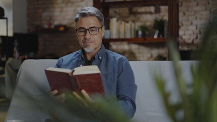 Confident older white man with gray hair at home, sitting on couch reading book in dark living room. Portrait of happy, mature age, middle age, mid adult caucasian man in 50s, smiling, resting.