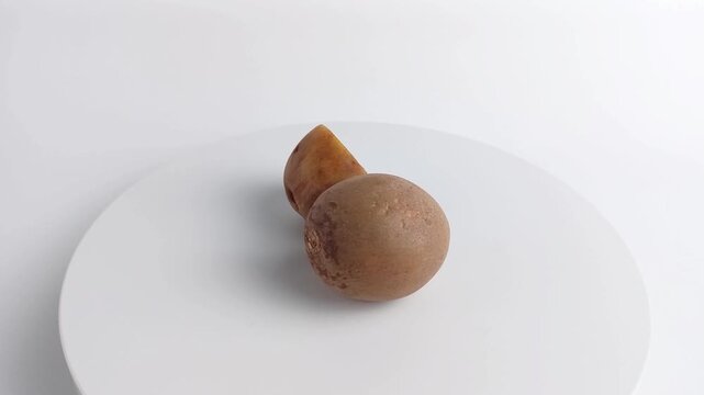 Whole and halved sapodilla fruit rotating on white podium. Sweet tropical chiku spinning. Fresh organic food for healthy diet and market ad.
