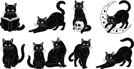 Mystical Black Cats Vector Set with Occult and Witchcraft Elements, Including Skull, Moon, and Book for Halloween Design