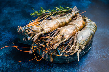 Uncooked rosenbergii fresh water shrimp ready for preparation, perfect for chefs looking to create exquisite seafood dishes. blue background. top view