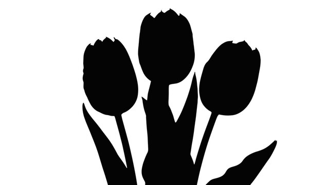 Elegant tulip flower silhouettes create modern designs for branding and sophisticated springtime marketing materials
