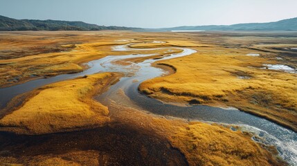 golden winding streams flowing across vast serene landscape at sunset