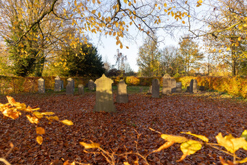 Autumn cemetery scene with rows of gravestones on leaf covered ground, golden trees and warm...