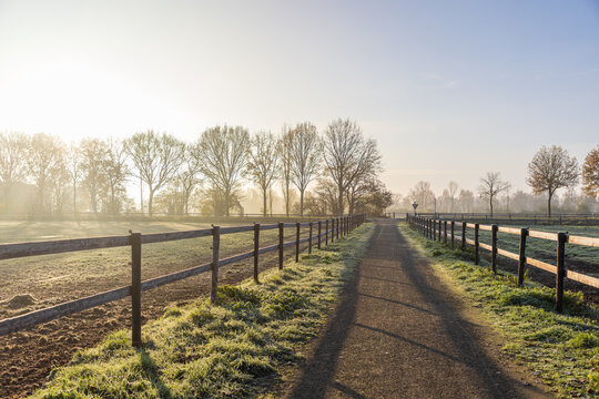 Straight frosty path flanked by wooden fences and bare trees, golden morning light casts long shadows across tranquil rural landscape.