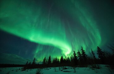 Green aurora borealis shines brightly in dark night sky over winter forest. Spectacular northern lights dance above snowy landscape with conifer trees. Beautiful polar light phenomenon among stars.