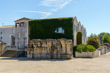 A building in Saintes France with a large ivy plant growing on it. The building is old and has a stone facade. The ivy plant is growing on the side of the building and is covering the entire wall