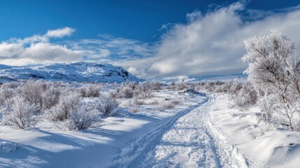 Obraz premium Snow covers a winding path through a winter landscape, with frosted trees lining the trail. The backdrop includes distant mountains under a clear blue sky, creating a peaceful scene.