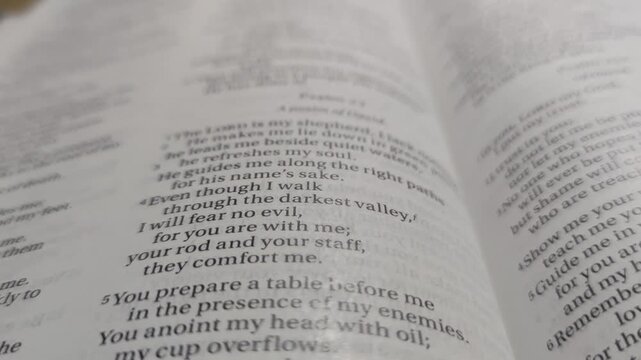 Psalm 23 form the Bible