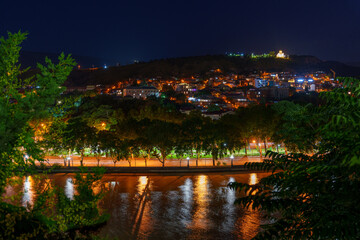 Night cityscape with riverfront trees and illuminated hillside district