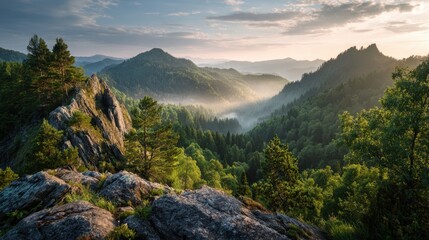 Fototapeta premium Early morning light casts a gentle glow over the hills and valleys. Thick forests and rocky outcrops create a peaceful and scenic view, inviting exploration and reflection.