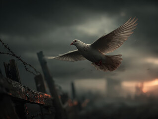 A white dove flying gracefully over a dilapidated wooden fence with a moody, dramatic sky filled with dark clouds and soft light at sunset in the background.