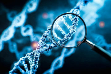 DNA strand magnified with a lens, science and medical concept. A close-up view of a DNA double helix is magnified by a lens, representing scientific research. DNA testing in crime investigation.