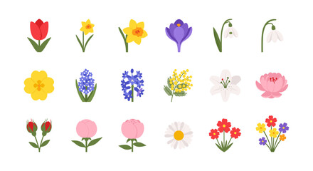 Spring floral collection: colorful blooms and blossoms on white background