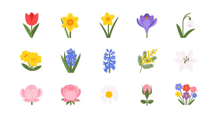 Colorful spring blossoms collection featuring tulips, daffodils, and more