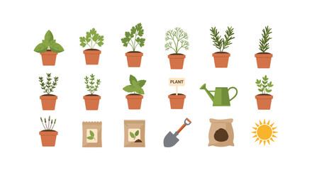 Garden herbs and tools set in flat style with potted plants and gardening elements