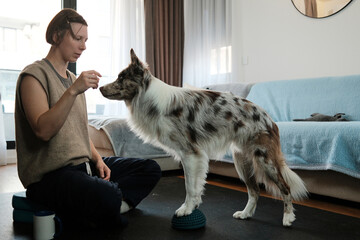 A woman trains her border collie to balance on a textured fitness pod during a home workout session. The scene shows focus, stability, and canine fitness practice.
