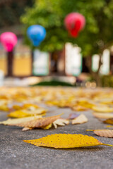 Autumn Yellow Leaves on Temple Courtyard Ground