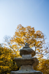 Ancient Stone Pagoda beneath Autumn Canopy Sky