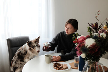 A woman pours hot tea into a cup while her dog sits beside her at the table. Concept of cozy domestic morning routine.