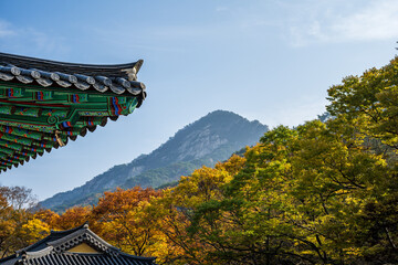 Korean Traditional Temple Roof Autumn Mountain Ridge
