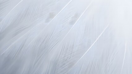 Obraz premium Close up of soft white feathers creating a delicate and airy texture with subtle light gradients