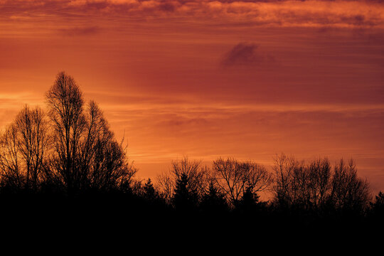 Striking landscape scene featuring the dark silhouettes of bare winter trees set against a vivid orange and red sunset sky. The intense colors and layered clouds create a dramatic and atmospheric