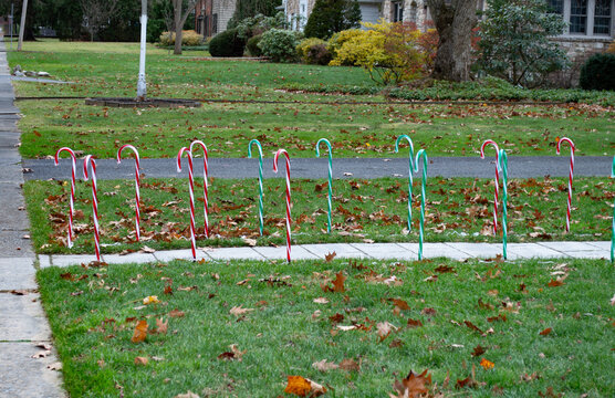 Row of plastic candy cane Christmas decorations lining a suburban walkway - Powered by Adobe