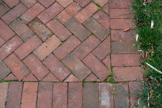Red brick paver walkway texture in herringbone pattern with grass edge