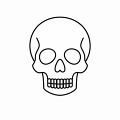 Obraz premium human skull vector, skull and crossbones, human skull vector illustration, 
