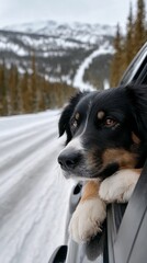 A dog is looking out the winter window with mountains of a car