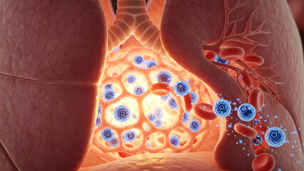 Visualize healthy lung alveoli and red blood cells exchanging oxygen, a microscopic journey to the heart of respiration for science and medical visualizations