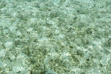 Crystal clear waters of the maldives