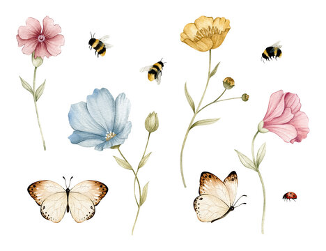 Watercolor wildflower meadow composition set on white background with buttercup, pink campion, blue flax flowers, butterflies, ladybug, and bees for fabric, spring baby shower invitation, and wedding