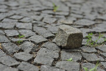 paving stone texture