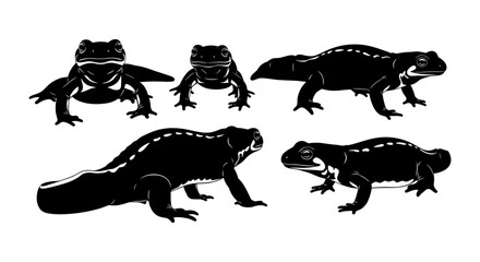 Naklejka premium Silhouette collection of newts with detailed features and dynamic poses