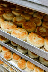Freshly Cottage cheese pancakes baked round pastries arranged in layers on metal trays