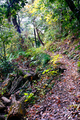 兵庫県・三木市県立公園の秋、紅葉