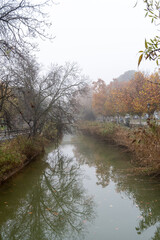 A tranquil canal reflects the trees on a foggy autumn day, creating a peaceful and serene scene in a park-like setting.