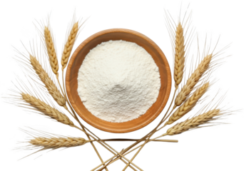 Wheat stalks surround a wooden bowl filled with fine white flour showcasing a staple ingredient for baking grain natural food organic powder dry healthy