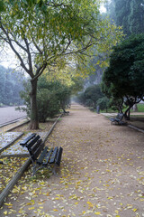 Tree-lined walk through the Jose Antonio Labordeta big Park in Zaragoza