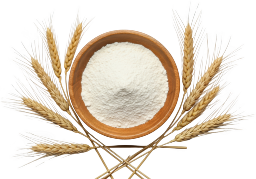 Wheat stalks surround a wooden bowl filled with fine white flour showcasing a staple ingredient for baking grain natural food organic powder dry healthy