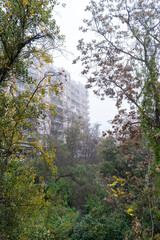 A view of a residential building through the branches of trees on an overcast day, creating a framed perspective of urban nature.