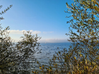 view through branches of a willow tree on a single white sailing boat in the middle of a large lake during blue sky sunny winter weather 