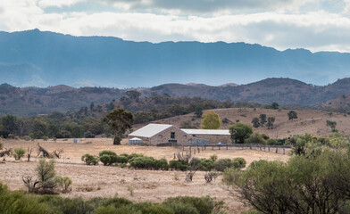 Wool Shed (Shearing Shed) on a pastoral property near the Flinders Ranges, Australia