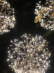 Macro Shot of Christmas Lights in the Dark