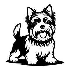 Biewer Terrier