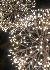 Macro Shot of Christmas Lights in the Dark